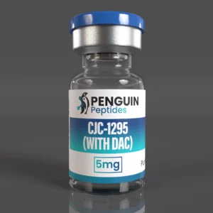 auto draft